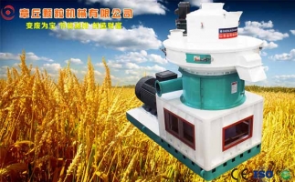 中國創(chuàng)新提速，綠色經(jīng)濟之離心高效環(huán)模顆粒機