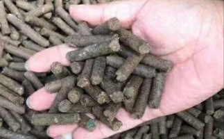 水果渣越來越受歡迎，因?yàn)樗某霈F(xiàn)—生物質(zhì)顆粒機(jī)設(shè)備