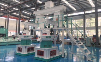 木屑顆粒機(jī)多少錢一臺?建顆粒廠大約多少錢？