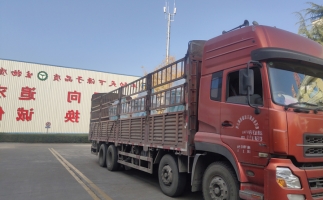 忙碌的五月，忙碌的發(fā)貨，金格瑞顆粒機生產(chǎn)線發(fā)往全國各地