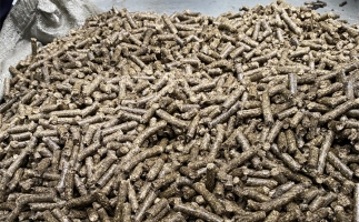 為什么很多人想了解木屑顆粒機(jī)加工的燃料顆粒作用？