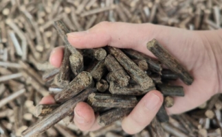 木屑燃料顆粒熱值多少大卡，完全取決于燃料的原料