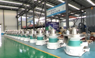 新手開顆粒廠，該選小型還是大型木屑顆粒機(jī)？