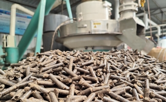 村里的廢木頭 農(nóng)作物秸稈怎么辦？有木屑顆粒機(jī)，好解決