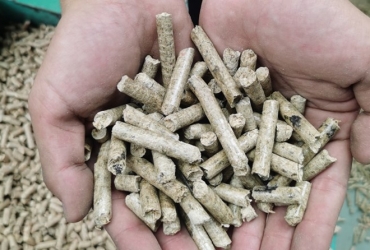 貴州省普安縣:廢料變?nèi)剂?木屑顆粒燃料加工忙